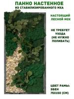 Панно из стабилизированно мха GardenGo в рамке цвета эбен, 75х150 см, цвет мха зеленый