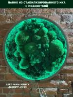 Круглое панно из стабилизированно мха GardenGo с подсветкой в рамке цвета шамуа диаметр 70 см, цвет мха зеленый