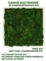 Панно из стабилизированно мха GardenGo в рамке цвета скандинавский бук, 50х50 см, цвет мха зеленый