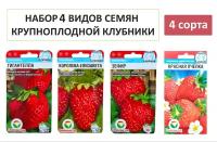 Набор 4 вида семян Клубники: Королева Елизавета, Гигантелла, Зефир, Красная пчелка