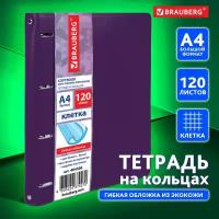 Тетрадь на кольцах А4 240х310 мм 120 л клетка BRAUBERG Joy фиолетовый/светло-фиолет 404506 (1)