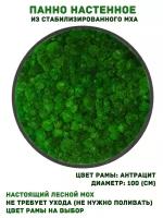 Круглое панно из стабилизированно мха GardenGo в рамке цвета антрацит диаметр 100 см, цвет мха зеленый