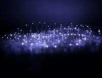Гирлянда светлячки, 100 холодных белых mini LED-огней, 5 м, серебристый провод, таймер, батарейки, Koopman International