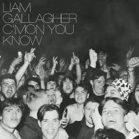 Виниловая Пластинка Gallagher, Liam, C’Mon You Know (0190296396861)