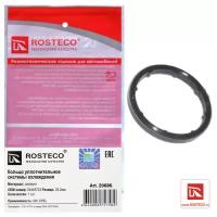 Кольцо уплотнительное системы охлаждения 25,2мм силикон 24445723 ROSTECO 20686
