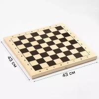 Шахматная доска турнирная, 43 x 43 x 5.2 см