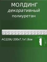 Декоративный настенный молдинг из полиуретана с рельефным рисунком