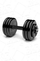 Гантель разборная BARFITS Barbell Atlet D26 34 кг