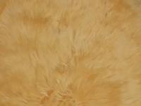HWIT CO LTD Ковер-накидка из натуральной овчины шестишкурная желтая 06SS 2000 1.35x1.9 м