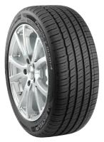 MICHELIN 162681 205/45 R17 Michelin Primacy 4 S1 88V XL