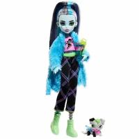 Кукла Monster High Фрэнки Штейн с питомцем выпуск 2022 года, 26 см, HKY68