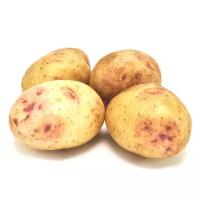 Картофель синеглазка, 1 кг