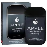 Apple Parfums Homme Cool Gray туалетная вода 100 мл для мужчин