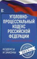 Уголовно-процессуальный кодекс Российской Федерации на 2023 год