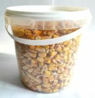 Кукуруза кормовая 600 гр. зерно целое в контейнере для хранения. Корм для уличных, лесных, домашних птиц и грызунов / кур, уток, гусей, хомяков