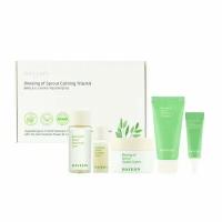 HAYEJIN /Пробный успокаивающий набор Blessing of Sprout Calming Trial Kit