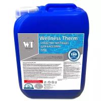 Wellness Therm Средство чистящее дезинфицирующее для бассейнов Wellness Therm (ГПХ) 5л 3312798