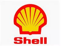 SHELL 550048100 550048100_Моторные масла (автомобильные) Shell Helix HX8 ECT 5W-30 5л 1шт