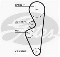 Ремень ГРМ LADA: GRANTA 11- Z=113x17 Gates 5670XS