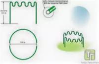 Заборчик Газонный-клумба Волна