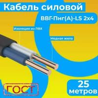 Провод электрический/кабель ГОСТ 31996-2012 0,66 кВ ВВГ/ВВГнг/ВВГ-Пнг(А)-LS 2х4 - 25 м. Монэл