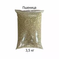 Пшеница 3,5 кг