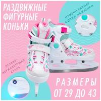 Коньки BIG BRO PW-223В-169 раздвижные фигурные, размер 37-40