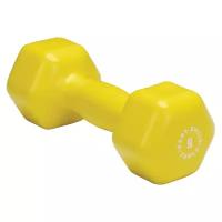 Гантель цельнолитая Body Solid BSTVD9 4.05 кг