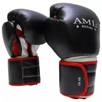 Боксерские перчатки AML - Boxing Star