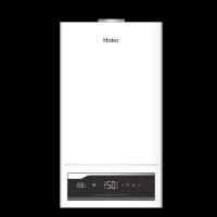 Настенный газовый котел Haier ProLine 2.24 Ti