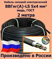 Кабель силовой электрический ВВГнг(A)-LS 5х4 мм2, медь, ГОСТ, 2 метра