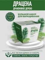 Набор для выращивания 