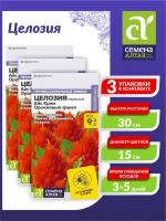 Семена Целозия Айс Крим Оранжевый факел перистая Однолетние 10 шт./уп. х 3 уп