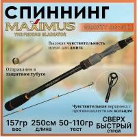 Удилище спиннинговое Maximus Gravity MJSSG25H