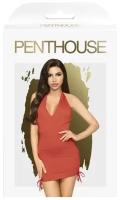 Платье и трусы стринги Penthouse Earth-shaker