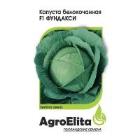 Семена Гавриш AgroElita Капуста белокочанная Фундакси F1 10 шт