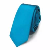 Бирюзовый узкий молодежный галстук Laura Biagiotti 822066