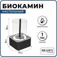 Биокамин настольный для дома BRADEX 