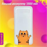 Внешний аккумулятор (Power Bank) 10000 мАч, павер банк, переносной аккумулятор для зарядки телефона, повербанк с рисунком