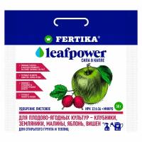Удобрение для плодово-ягодных культур 50 г Leaf power Фертика