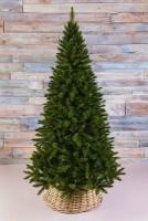 Искусственная елка Лесная Красавица Стройная 155 см, леска + ПВХ, Triumph Tree 73902