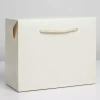Пакет — коробка «Белый», 23 × 18 × 11 см