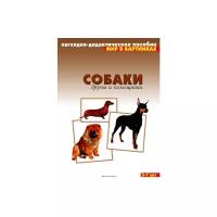 Набор карточек Мозаика-Синтез Мир в картинках. Собаки. Друзья и помощники 29.5x21.5 см 8 шт