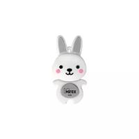 Флеш-накопитель USB 4GB Mirex RABBIT GREY (ecopack)