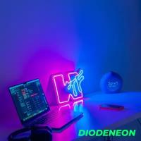 DIODENEON / Неоновый светильник 