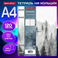 Тетрадь на кольцах большая А4 (240х310 мм), 120 л, под кожу, BRAUBERG VISTA, 