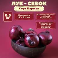 Лук-севок фасованный 0,5 кг. Красный салатный сорт (Кармен): сочная хрустящая мякоть имеет слабоострый пикантный вкус; употребляют в свежем виде