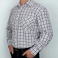 Рубашка Alexander Matin, размер 3XL, мультиколор