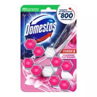 Блок для унитаза Power 5 Ледяная магнолия Domestos, 110 мл, 0.055 г, 2 шт