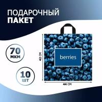 Пакет подарочный большой с петлевой ручкой 420x440 мм, 70 мкм, набор 10 шт
